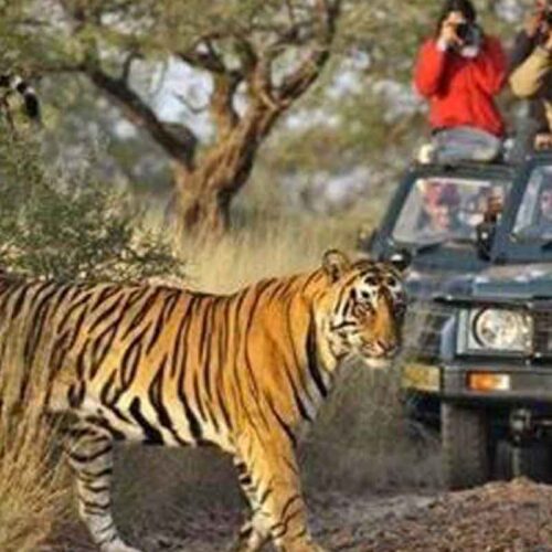 jim corbett tour package