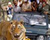 jim corbett national park