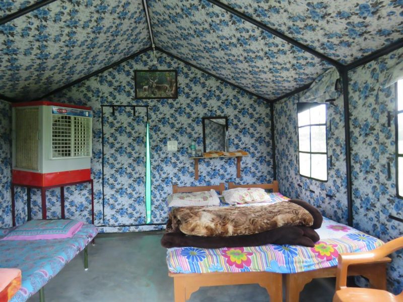 Rajaji-National-park-Camp-Inside-800x600
