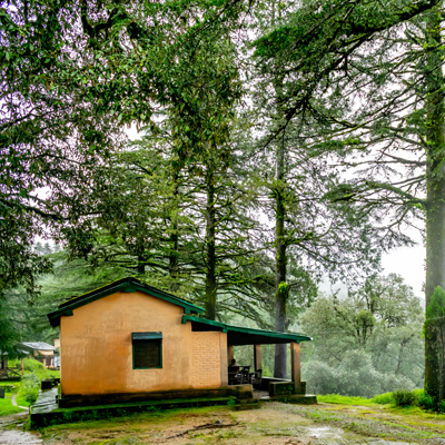 Binsar Wildlife Sanctuary